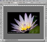 Adobe Photoshop 教學-幾何選取工具