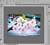 Adobe Photoshop 教學 -自動與批次處理
