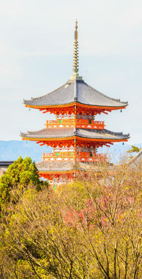 京都多風沙，賣皮箱會發？