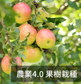 農業4.0 果樹栽種─屏東科技大學