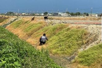 嘉義縣家畜疾病防治所招考動保管制人員 薪32K