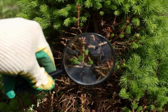 植物診療師首考8月開考！6大筆試科目曝光