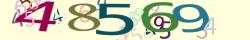 Retype the CAPTCHA code from the image